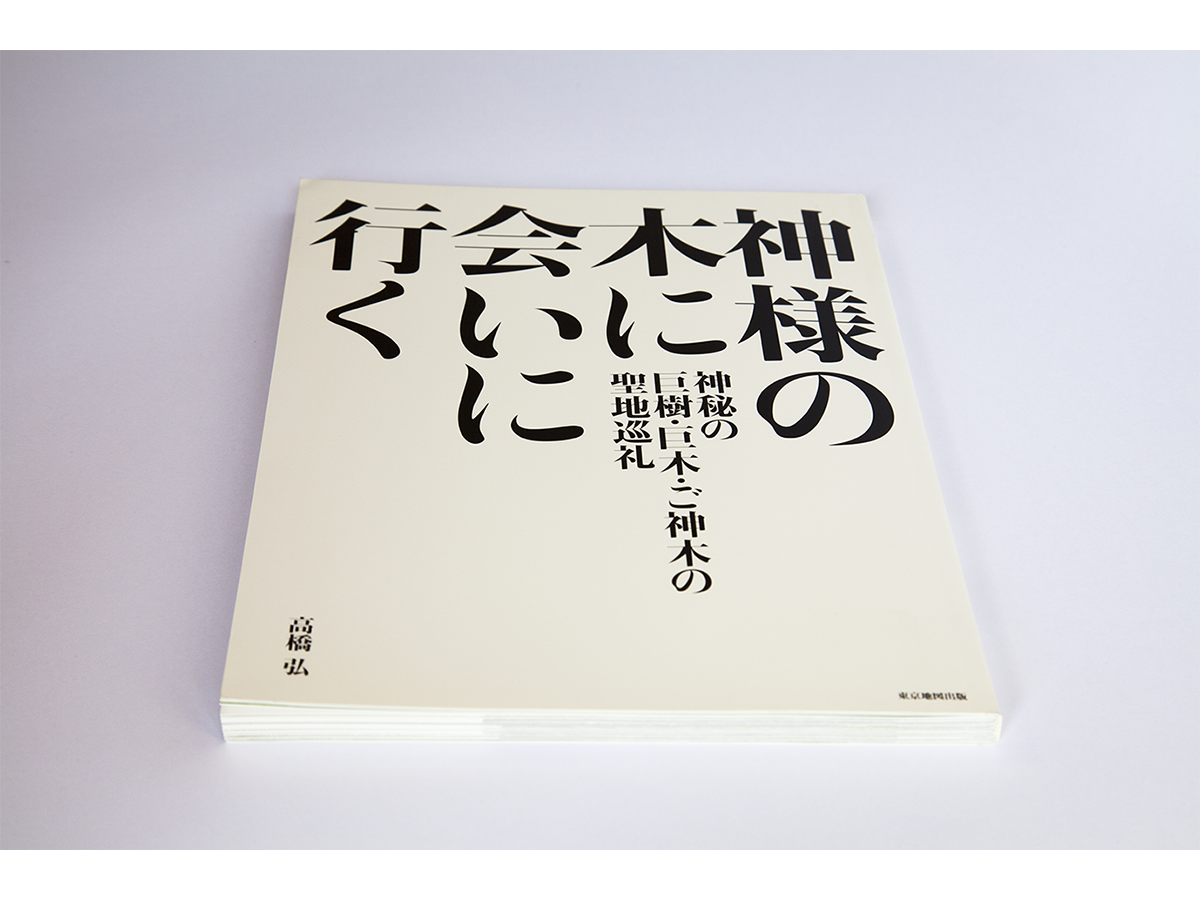 神様の木に会いに行く