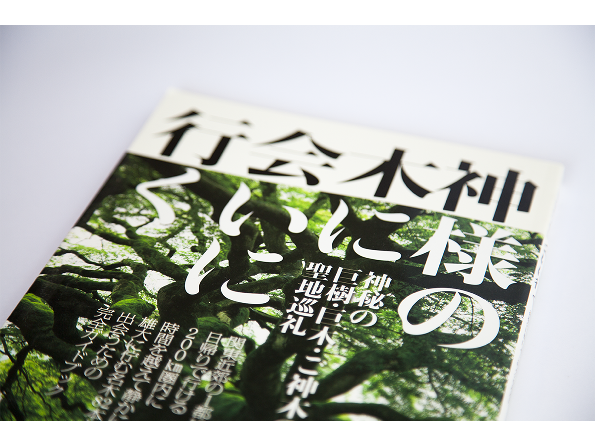 神様の木に会いに行く